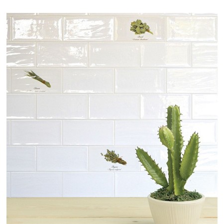 Magia hiszpańskiej ceramiki