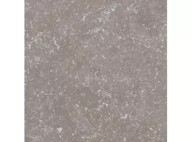 Coralstone Grey 20x20 - Płytka gresowa imitująca kamień naturalny