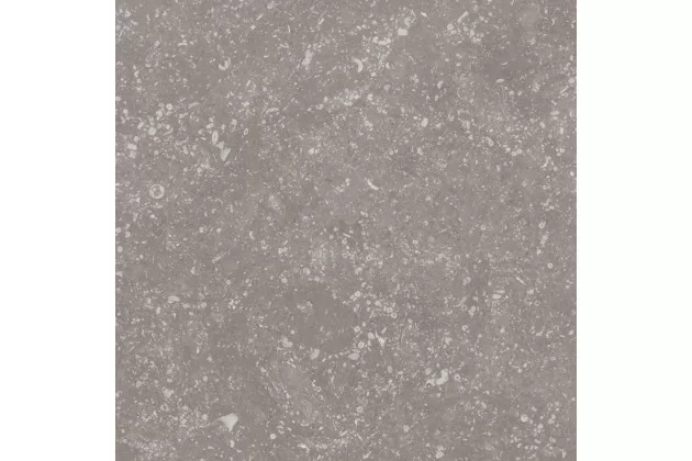 Coralstone Grey 20x20 - Płytka gresowa imitująca kamień naturalny