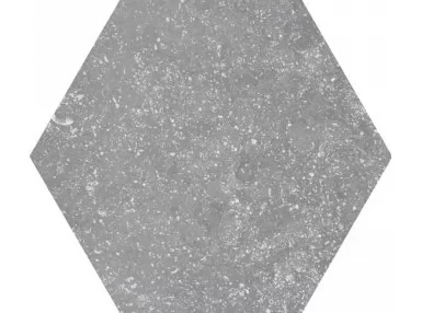 Coralstone Hexagon Black 29,2x25,4 - Płytka gresowa heksagonalna imitująca kamień
