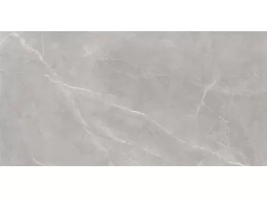 Bayona P Silver Natural Rekt. 240x120 - jasno-szara płytka imitująca kamień