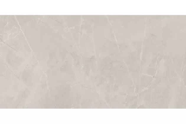Bayona Silver Natural Rekt. 60x120 - jasno-szara płytka imitująca kamień