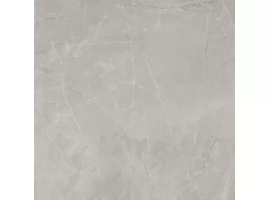 Bayona Silver Natural Rekt. 120x120 - jasno-szara płytka imitująca kamień