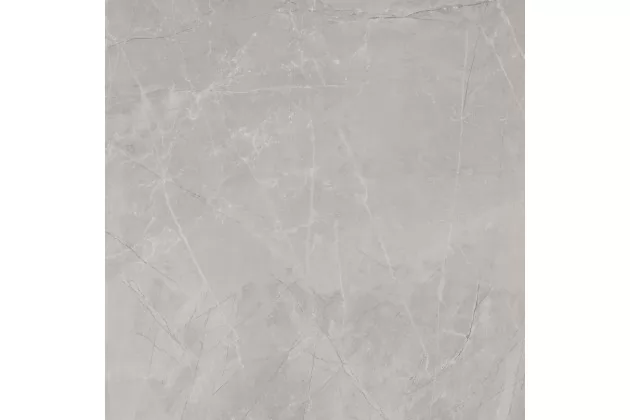 Bayona Silver Natural Rekt. 120x120 - jasno-szara płytka imitująca kamień