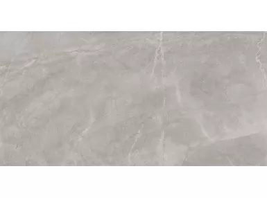 Bayona Silver Pulido Rekt. 240x120 - jasno-szara płytka imitująca kamień