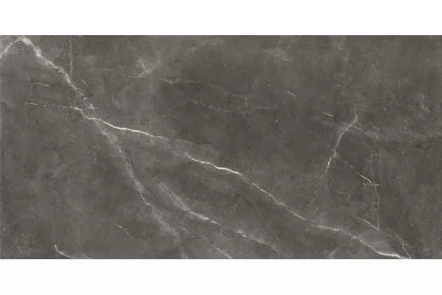 Bayona P Grey Natural Rekt. 240x120 - szara płytka imitująca kamień