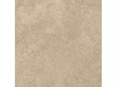 Ozone Taupe Rekt. 60x60 - kremowa płytka gresowa