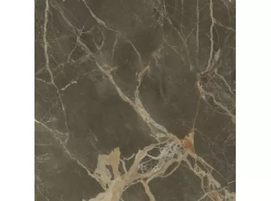 Riscal Brown Pulido Rekt. 120x120 - brązowa płytka imitująca marmur