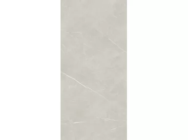 Eternal Pearl Natural Rekt. 260x120 - szara płytka gresowa imitująca kamień