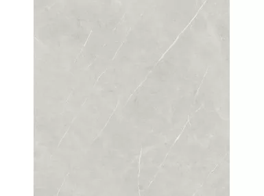 Eternal Pearl Natural  Rekt. 120x120 - szara płytka gresowa imitująca kamień