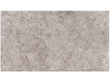Alpes Gris 31x56. Szara płytka gresowa imitująca kamień