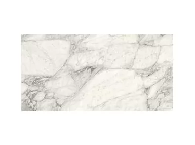 Allmarble Calacatta Extra Rett. 60x120 M39P - Biała płytka gresowa imitująca marmur