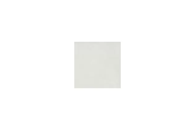 Grande Resin Look Verde Chiaro 120x120 M90L - płytka gresowa