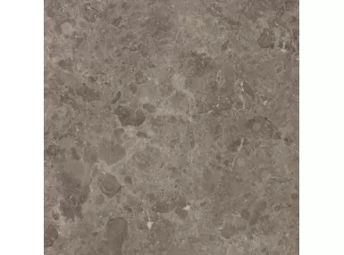 Mystone Gris du Gent Taupe Ret. 60x60 M69P - płytka gresowa