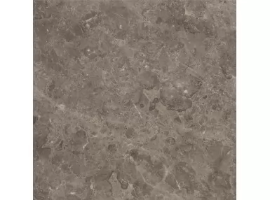 Mystone Gris du Gent Taupe Ret. 75x75 M699 - płytka gresowa