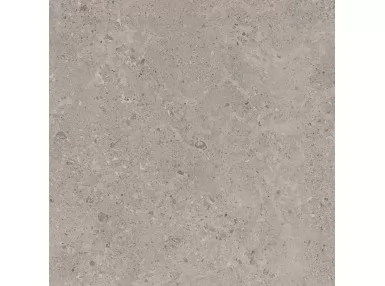 Mystone Gris Fleury Taupe Ret. 60x60 MLK8 - płytka gresowa