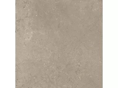 Mystone Limestone Taupe Strut. Ret. 75x75 M7EM - płytka gresowa