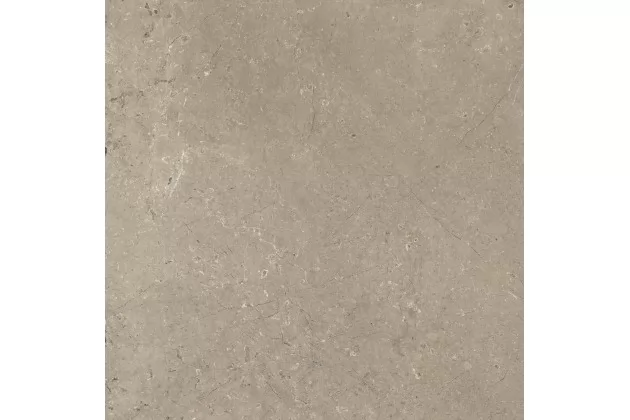 Mystone Limestone Taupe Strut. Ret. 75x75 M7EM - płytka gresowa