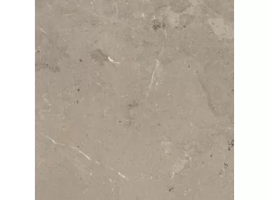 Mystone Limestone Taupe Ret. 75x75 M7E5 - płytka gresowa