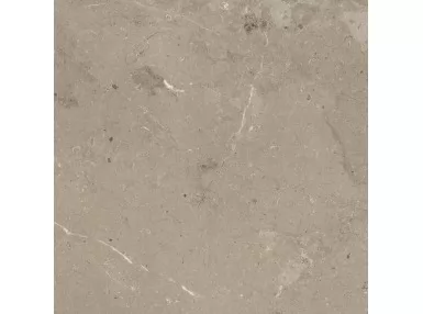 Mystone Limestone Taupe Ret. 60x60 M7E9 - płytka gresowa