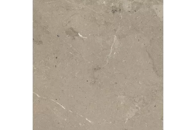 Mystone Limestone Taupe Ret. 60x60 M7E9 - płytka gresowa