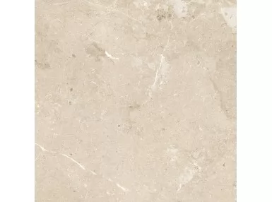 Mystone Limestone Sand Ret. 60x60 M7EE - płytka gresowa