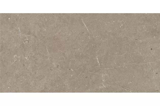 Mystone Limestone Taupe Ret. 30x60 M7EH - płytka gresowa