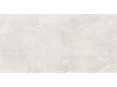 Dover Gris Rekt. 50x100 - płytka gresowa