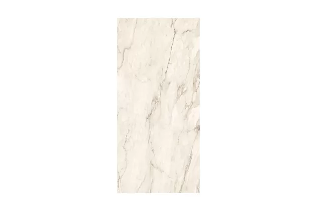 Cremo Delicato DL6 260 RM 120x260 - płytka gresowa