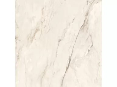 Cremo Delicato DL6 120 RM 120x120 - płytka gresowa