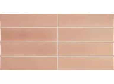 Limit Rose 6x24,6 - płytka ścienna