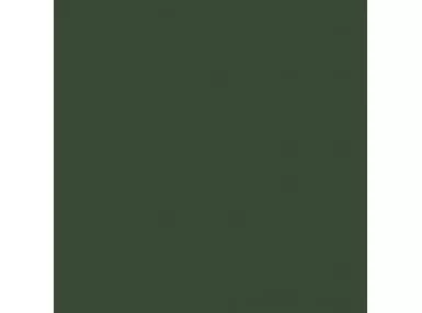 Element Verde 25x25 - płytka gresowa
