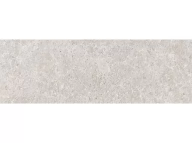 Arkesia Ash 30x60 - jasno-szara płytka ścienna