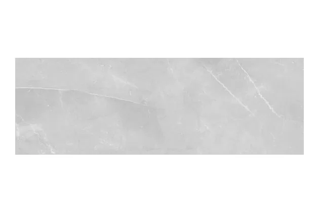 Pulpis Rekt. 25x75 - szara płytka ścienna