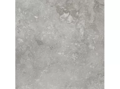 Buxi Gris 60x60 - płytka gresowa