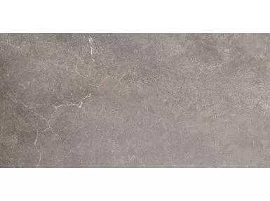 Avenue-R Plomo 59,3x119,3 - płytka gresowa