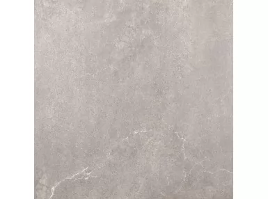Avenue Gris 60x60 - płytka gresowa