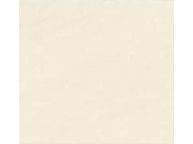 Coliseo Beige Rett. 80x80 - płytka gresowa