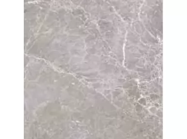 Trentino Gris 60x60 - płytka gresowa