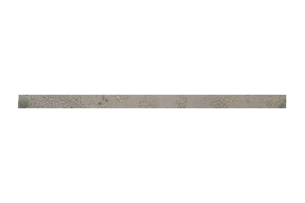 Grunge Grey Edge Stick 1,5x30 - płytka ścienna