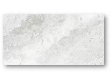 Opal Grey Gloss Ret. 60x120 - płytka gresowa