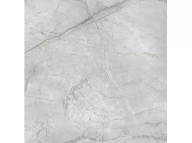 Velvet Silver 66x66 - płytka gresowa