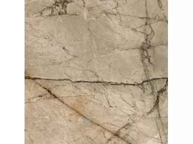 Velvet Taupe 66x66 - płytka gresowa