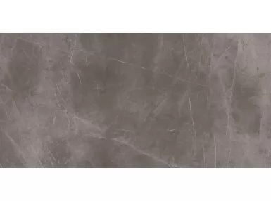 Evolutionmarble Floor Grey 60x120 MH0W - płytka gresowa