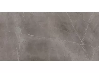 Evolutionmarble Floor Grey Lux 60x120 MH20 - płytka gresowa