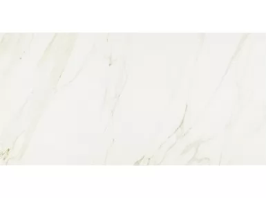 Evolutionmarble Floor Calacatta 60x120 MHV3 - płytka gresowa