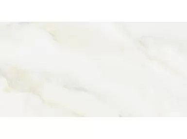 Evolutionmarble Floor Calacatta Lux 60x120 MK6F - płytka gresowa
