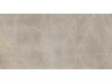 Evolutionmarble Floor Tafu Lux 60x120 MH21 - płytka gresowa