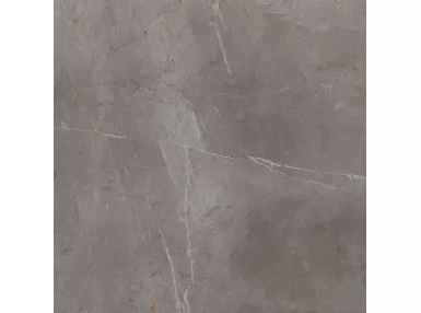 Evolutionmarble Floor Grey Lux 60x60 MH24 - płytka gresowa