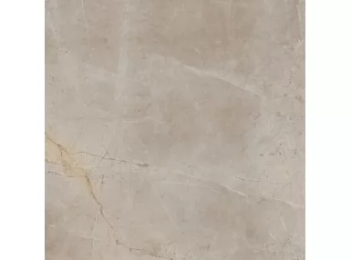 Evolutionmarble Floor Tafu 60x60 MH15 - płytka gresowa